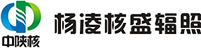 杨凌核盛辐照技术有限公司